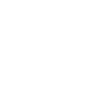 Integration Expertise