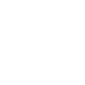 Integration Expertise