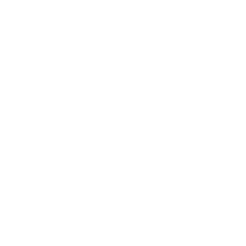 Vision Inspection Systems